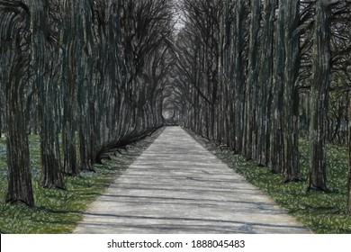 Watercolor Illustration: Central Perspective From An Avenue Of Old Lime Trees Along A Gravel Road