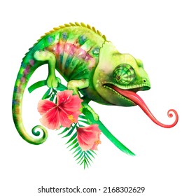 Watercolor illustration with chameleon, green - red chameleon, reptile, tropics, fauna, chameleon with tongue hanging out
