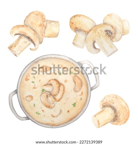 Watercolor illustration of champignons. Hand drawn in watercolor and isolated on a white background. Great for printing on fabric, postcards, invitations, menus and more.