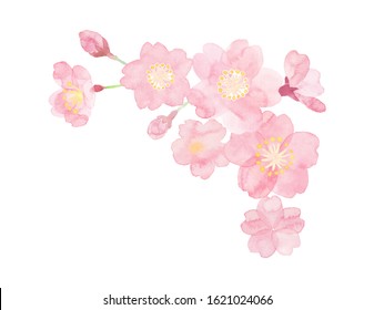 桜 手書き のイラスト素材 画像 ベクター画像 Shutterstock