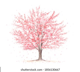 Watercolor illustration of cherry tree with dancing petals.
