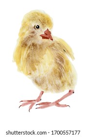 96 Impressionism Chicken Images, Stock Photos & Vectors 