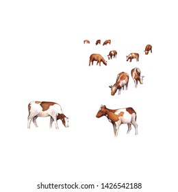Watercolor illustration. Cows isolated on white background