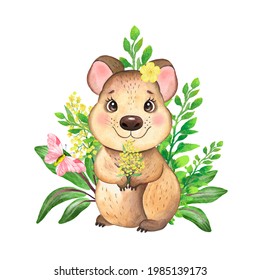 Watercolor illustration of a cute animal, quokka, australian baby animal 