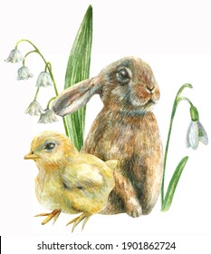 Watercolor Illustration Of A Cute Easter Bunny With A Yellow Chicken With Beautiful White Spring Flowers Lily Of The Valley And Snowdrop.