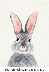 Watercolor illustration cute fluffy grey rabbit and pink ears in blank background