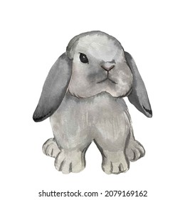 watercolor illustration of a cute gray Easter bunny. suitable for Easter cards, children's stickers, wall stickers, prints and logos, animal protection emblems, Christmas designs, cute stickers