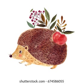 Watercolor Illustration With Cute Hedgehog