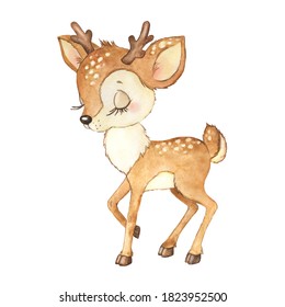 かわいい小鹿 森の動物 動物の鹿の水彩イラスト のイラスト素材 Shutterstock