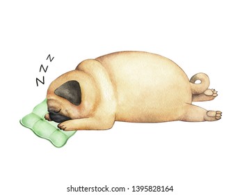 watercolor illustration of a cute pug dog lying on a pillow