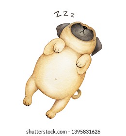 watercolor illustration cute pug dog sleeping on his back
