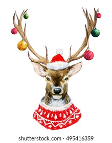 Watercolor illustration of deer, elk portrait in a sweater and hat, christmas print, happy christmas,Christmas balls on the horns