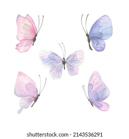 Ilustración acuarela delicadas mariposas