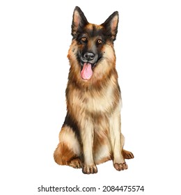 Watercolor Illustration Of A Dog. German Shepherd, Dog Watercolor Drawing. Pet, Guard, Friend, Dog Lover 