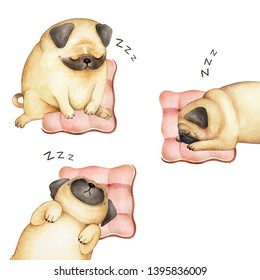 watercolor illustration of a dog pugs