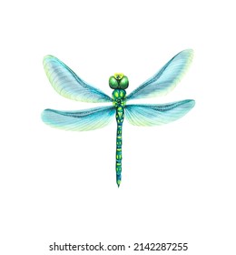 5,148 Dragon fly pattern Images, Stock Photos & Vectors | Shutterstock