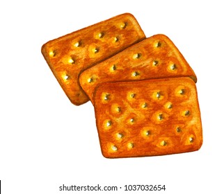 Watercolor Illustration Drawing Crunch Cracker On Stock Illustration ...