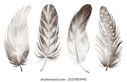 Watercolor illustration of feathers in vintage style. Hand-drawn set with quills and plumage for textile, wrapping paper, or wallpaper designs. Ideal for avian-themed projects for projects.