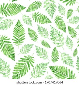 Watercolor illustration of ferns. seamless pattern on a white background. Suitable for printing, Wallpaper, fabrics and other design.