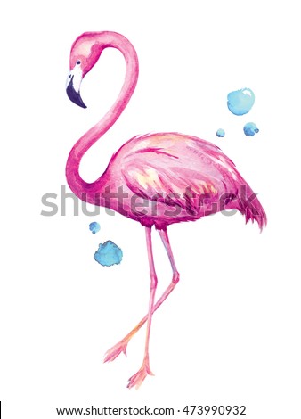 Watercolor illustration of flamingo