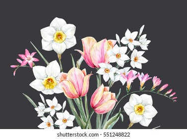 Watercolor Illustration Of A Floral Arrangement.  Flowers Tulip. Daffodil. Freesia. Invitation Card