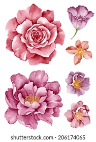 Watercolor Illustration Flower Set In Simple White Background