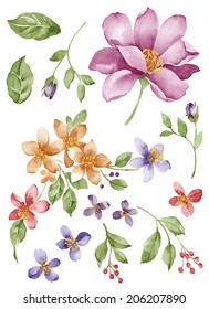 Watercolor Illustration Flower Set In Simple White Background