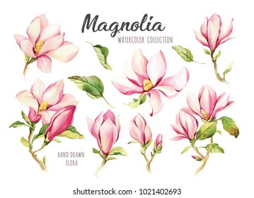 White Magnolia Flower Images, Stock Photos & Vectors | Shutterstock