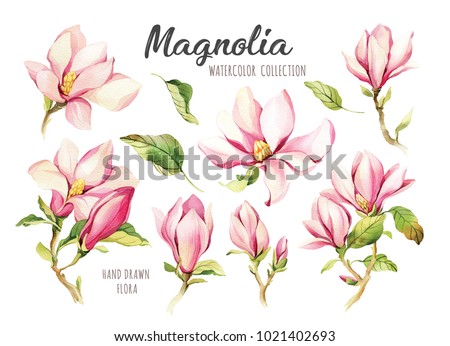 Similar – Image, Stock Photo pink magnolia blossoms | the magnolia as a medicinal plant | more than just beautiful.