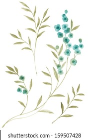 Watercolor Illustration Flowers In Simple Background 