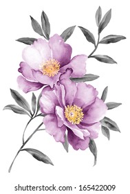 watercolor illustration flowers in