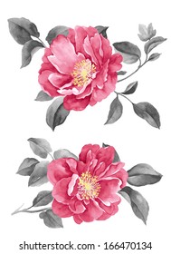 Watercolor Illustration Flowers In Simple Background 