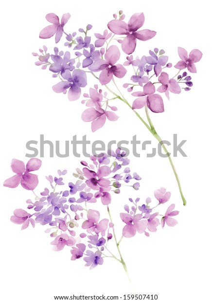簡単な背景に水彩イラストの花 のイラスト素材