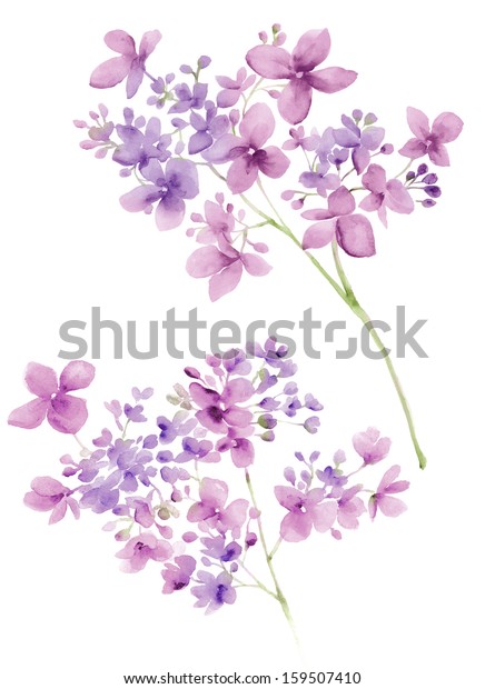 Watercolor Illustration Flowers Simple Background Stock Illustration