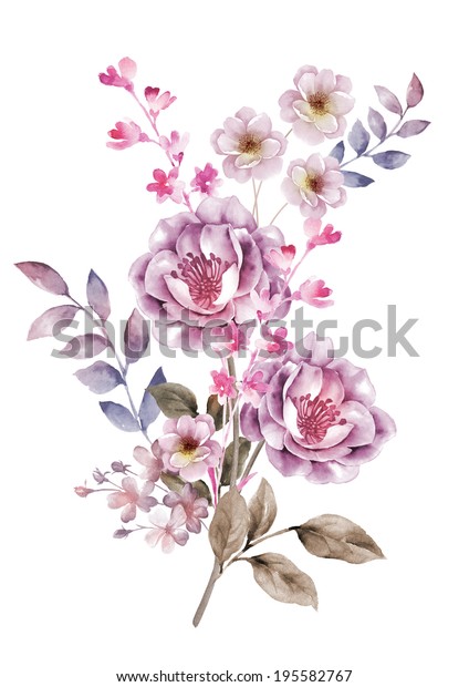 Watercolor Illustration Flowers Simple Background Stock Illustration ...