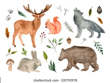 Watercolor Illustration Forest Team Animals. Hand Painted Isolated Elements.