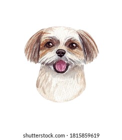 144 Shih Tzu Watercolor Images, Stock Photos & Vectors | Shutterstock