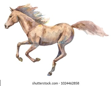 Watercolor illustration of a galloping horse on a white background