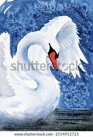 Watercolor illustration of a graceful white swan flapping its wings on a dark blue background floating on black water