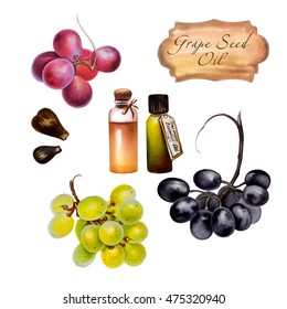 Watercolor Illustration Of Grape Seed Oil. Hand Painted Red Grape, Black Grape, Green Grape With Seeds Isolated On White Background And Oil In  Glass Bottles.