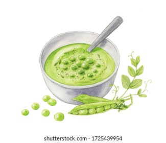 Watercolor illustration green pea soup in bowl and spoon  Green pea pods   sprouts isolated white