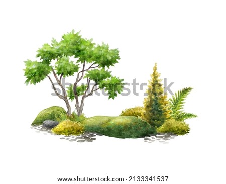 watercolor illustration. Green trees, fern leaves and stones covered with moss. Landscape design, natural greenery clip art, isolated on white background