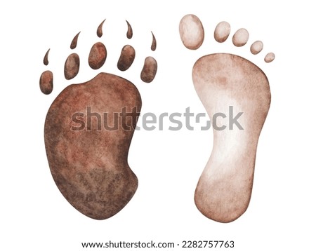 Watercolor illustration. Hand painted brown footprint of human and paw print of bear. Man, woman, child foot. Bear paw with claws. World Animal Day. Isolated clip art of human and animal friendship