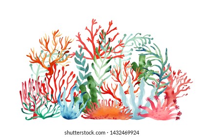 Watercolor illustration with hand painted corals. Could be used for frames. cards, wed design, summer or sale banners etc