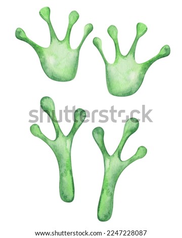 Watercolor illustration. Hand painted green footprints of frog. Toad paws. World Animal Day. Isolated clip art for posters, banners