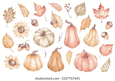 Watercolor illustration. Hand painted. Isolated on white. Fall clipart with pumpkins, acorns, sunflowers and autumn leaves. For Halloween, Thanksgiving, harvest festivals - Powered by Shutterstock