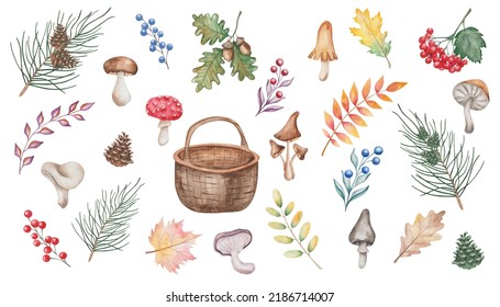 Watercolor Illustration Of Hand Painted Mushrooms, Berries, Autumn Leaves, Basket, Fir Tree, Rowan Branch, Pine, Cone, Champignon Fungus. Forest Plants. Isolated Clip Art For Fabric Textile Prints