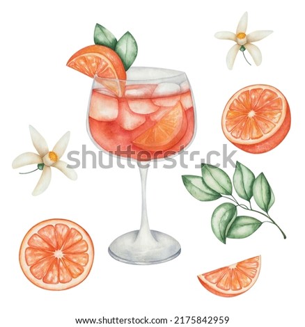 Watercolor illustration of hand painted orange cocktail in glass with slice of orange fruit, green leaves, flowers, cubical ice. Isolated clip art of goblet with aperol spritz. Alcohol beverage drink