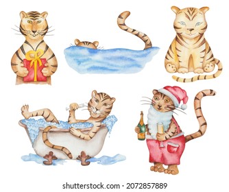 Watercolor illustration of hand painted tigers taking a bath, drinking champagne, giving a gift, wearing Santa Claus costume. Isolated New Year cartoon characters clip art for design postcards, fabric