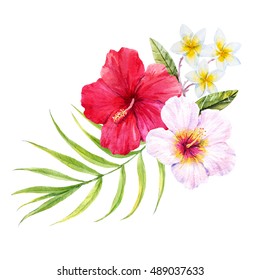 100,872 Hibiscus Watercolor Images, Stock Photos & Vectors 